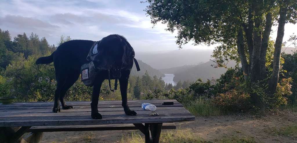 Loch Trail | Loch Trail, Ben Lomond, CA 95005, USA