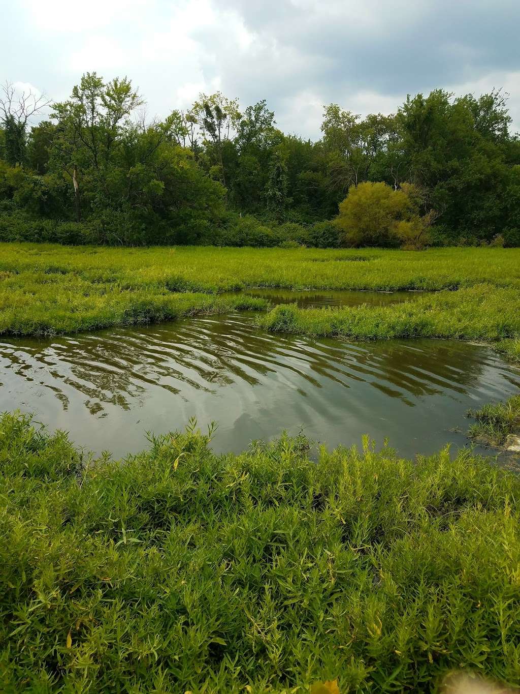 Prairie Park Nature Center | 2730 Harper St, Lawrence, KS 66046 | Phone: (785) 832-7980