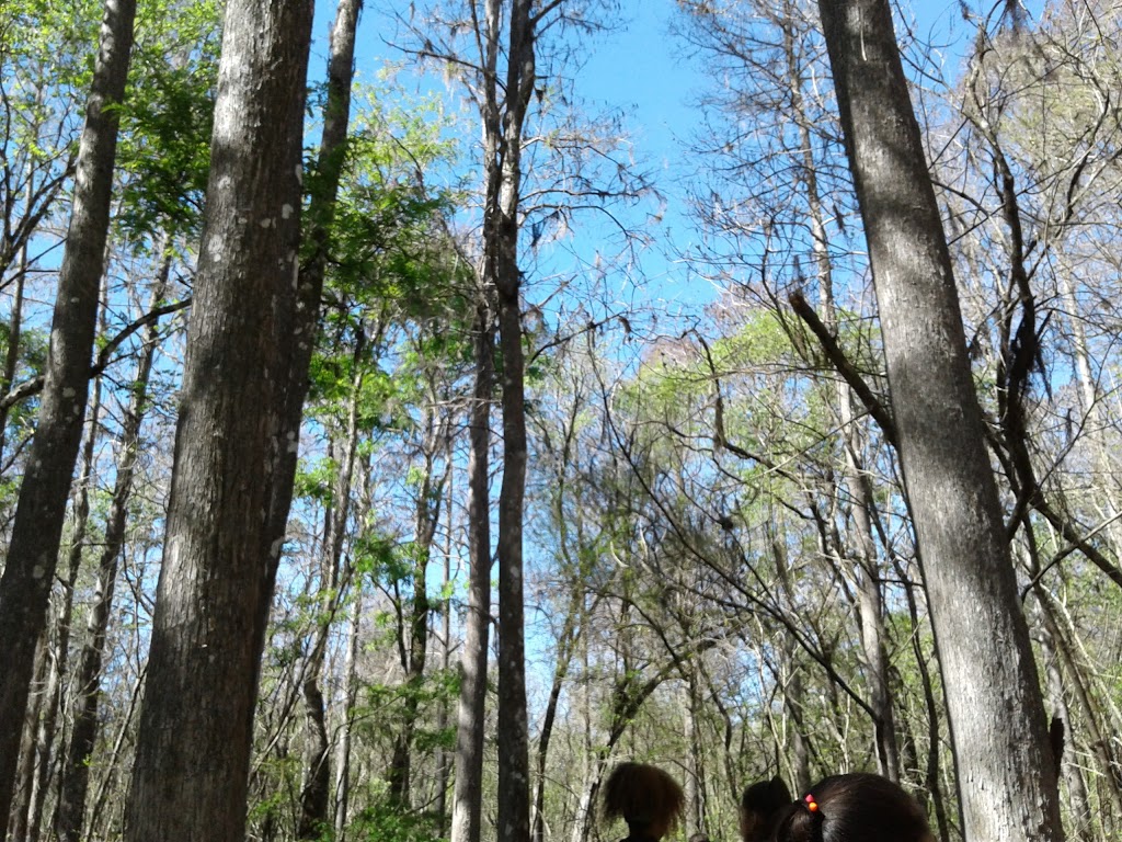 Natures Classroom | 13100 Verges Rd, Thonotosassa, FL 33592, USA | Phone: (813) 987-6969