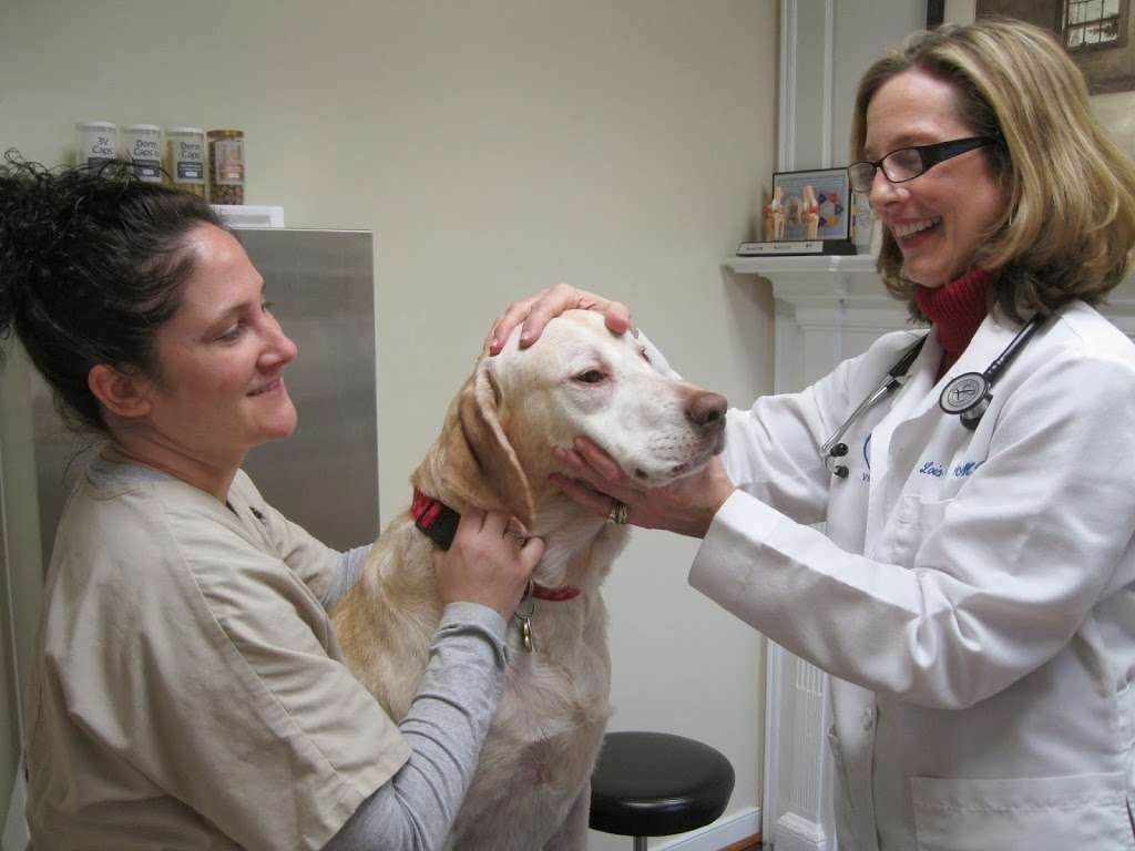 Doylestown Veterinary Hospital | 380 N Shady Retreat Rd, Doylestown, PA 18901, USA | Phone: (215) 345-6000