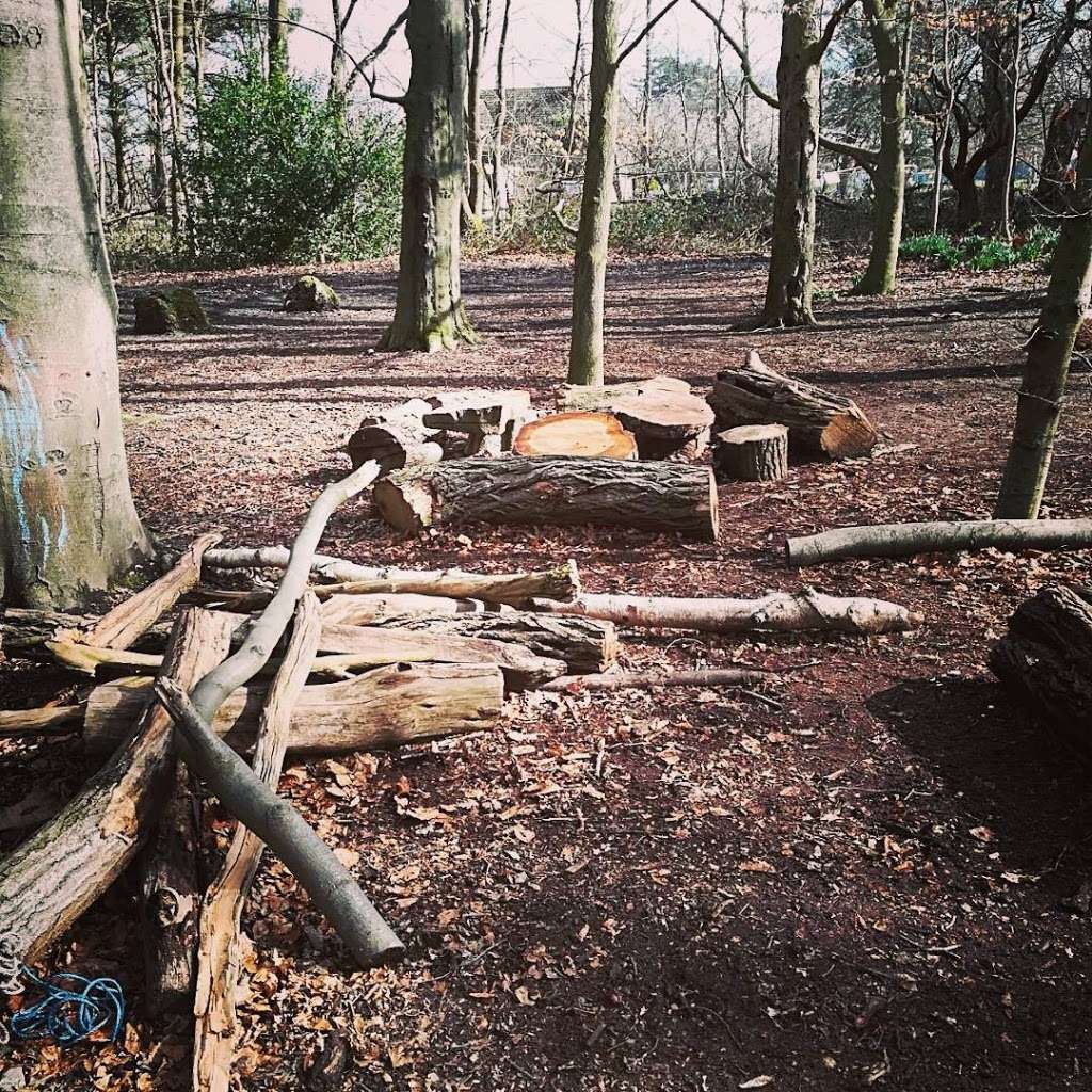 Tree House Friends Childcare | Cockfosters Rd, Barnet EN4 0JS, UK | Phone: 07445 093585