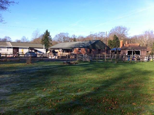 Stables Daycare | Mountains Stables, Noble Tree Rd, Hildenborough, Hildenborough, Tonbridge TN11 8ND, UK | Phone: 01732 833266