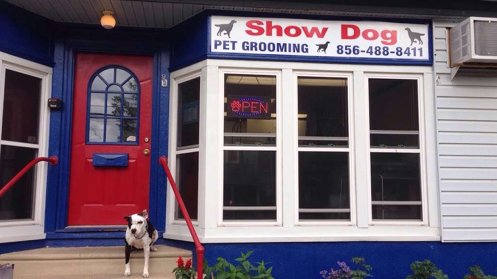 Show Dog Grooming | 3002 N Centre St, Pennsauken Township, NJ 08109 | Phone: (856) 488-8411