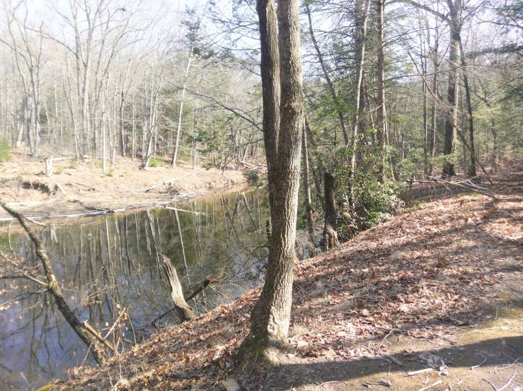 Bent of the River Sanctuary | Southbury, CT 06488, USA