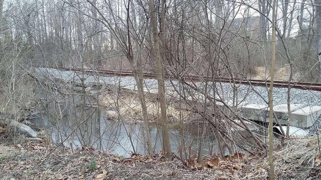 Abrams Creek Wetlands Preserve | Winchester, VA 22601, USA