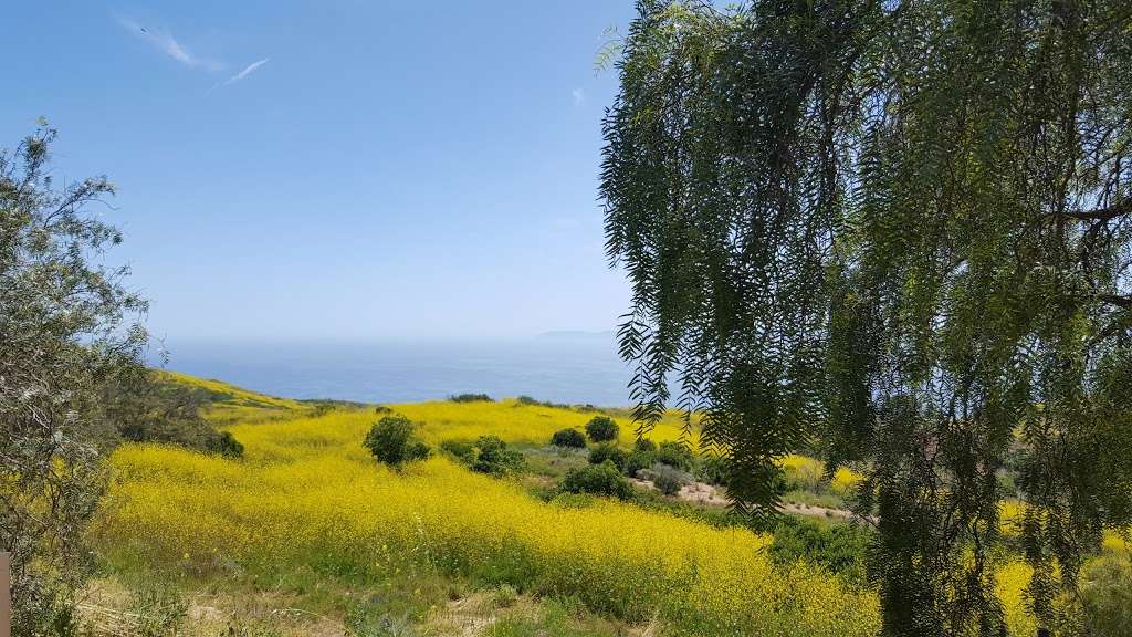 Portuguese Bend Reserve | Ishibashi Trail, Rancho Palos Verdes, CA 90275 | Phone: (310) 541-7613