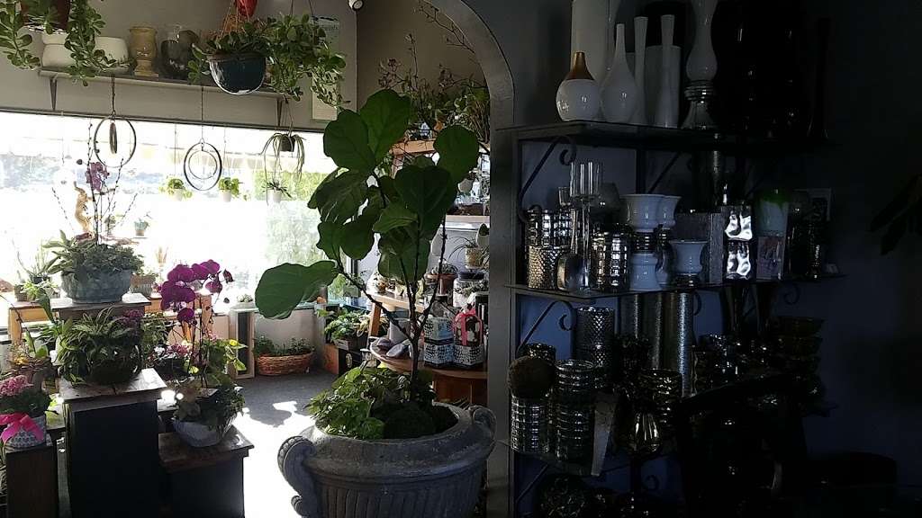 Mattesons Florist | 1967 N Vulcan Ave, Encinitas, CA 92024, USA | Phone: (760) 943-7873