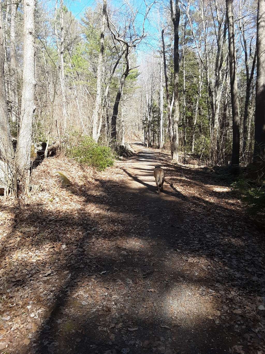 Grater Woods Trail | Gateway Trail, Merrimack, NH 03054