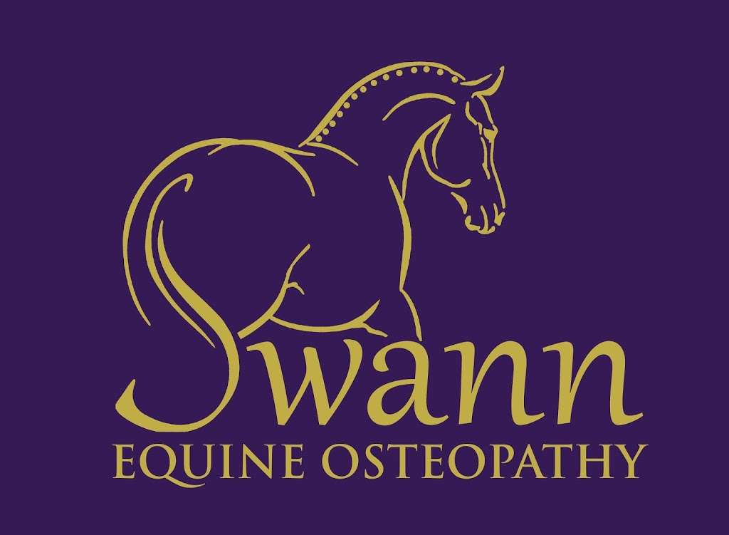 Swann Equine Osteopathy | Beechmont Farm,, Hubbards Hill,, Weald,, Sevenoaks TN13 1TR, UK | Phone: 07738 617553