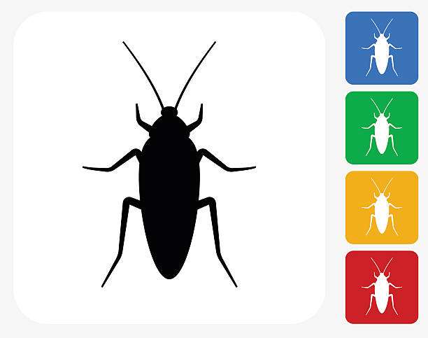 Pest Control Care Romford | 58 High Rd, Dagenham, Romford RM6 6PP, UK | Phone: 020 3856 3862