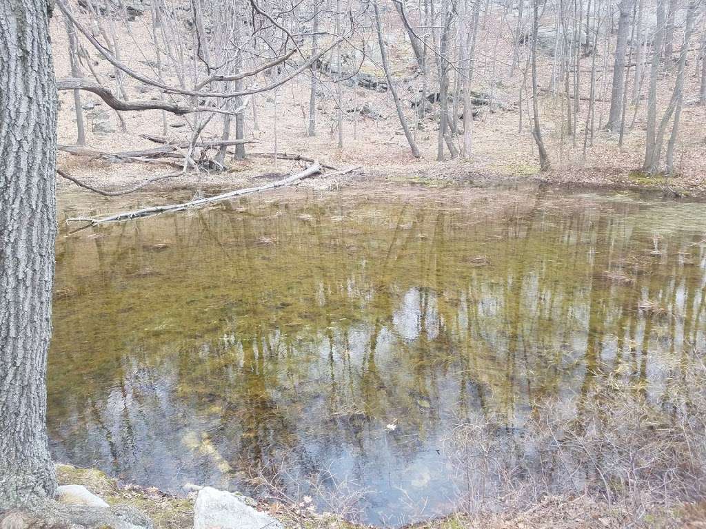 Anthonys Nose II - Trail Head | Bear Mountain Bridge Rd, Cortlandt, NY 10567, USA