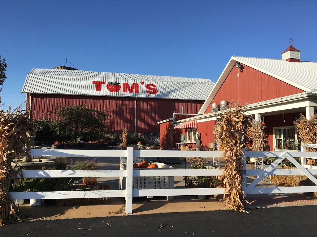 Toms Farm Market | Garden Center | Bakery | Cafe | Gift Shop | 10214 Algonquin Rd, Huntley, IL 60142, USA | Phone: (847) 669-3421