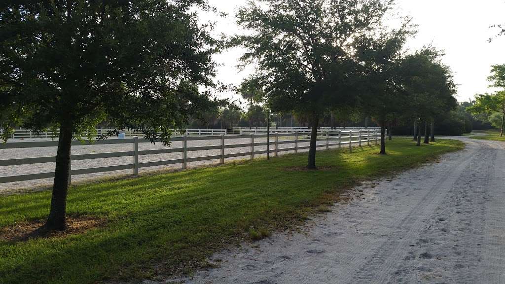 Sunshine Ranches Equestrian Park | 5840 SW 148th Ave, Fort Lauderdale, FL 33330, USA | Phone: (954) 434-0008