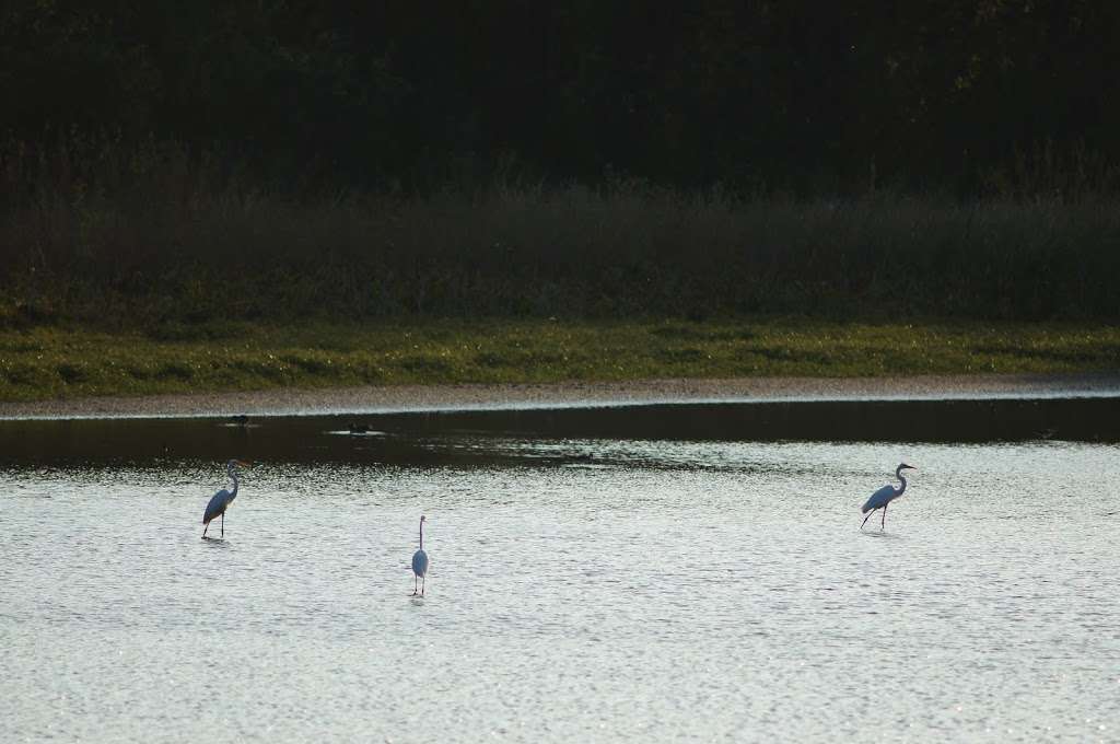 Trinity Forest Trail | Trinity Forest Trail, Dallas, TX 75241, USA