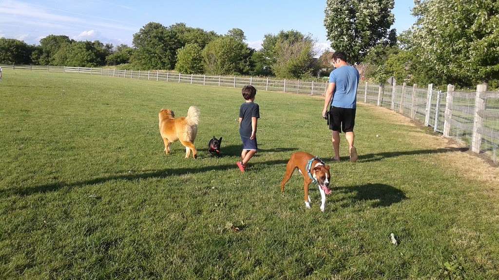 Daisy Dog Park | 13214 Blakely Dr, Plainfield, IL 60585 | Phone: (815) 436-8812