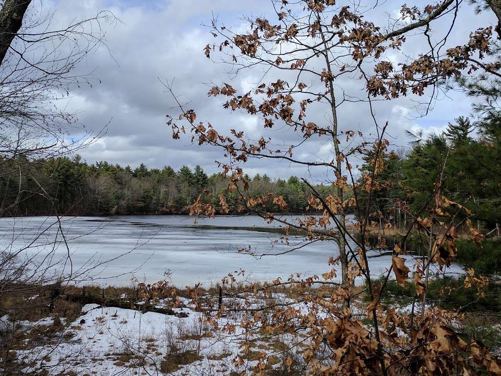 Marlborough-Sudbury State Forest | 31 Hale Rd, Stow, MA 01775, USA