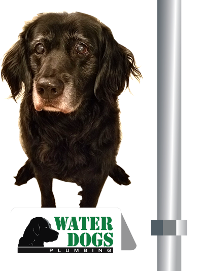 Waterdogs Plumbing | 22920 Masonic, St Clair Shores, MI 48082, USA | Phone: (248) 329-1960