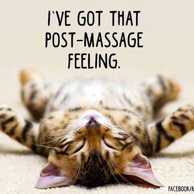 River City Therapeutic Massage | Corporate, Event or In-Studio M | 2843 Brownsboro Rd Suite 207, Louisville, KY 40206, USA | Phone: (502) 216-9299