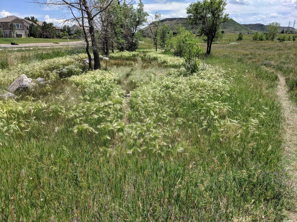 Birds Nest Disc Park | Arvada, CO 80403, USA | Phone: (720) 319-0213