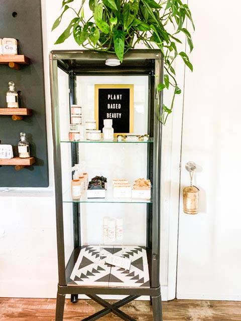 Modern Herbal Apothecary | 6412 S MacDill Ave, Tampa, FL 33611 | Phone: (813) 421-0243