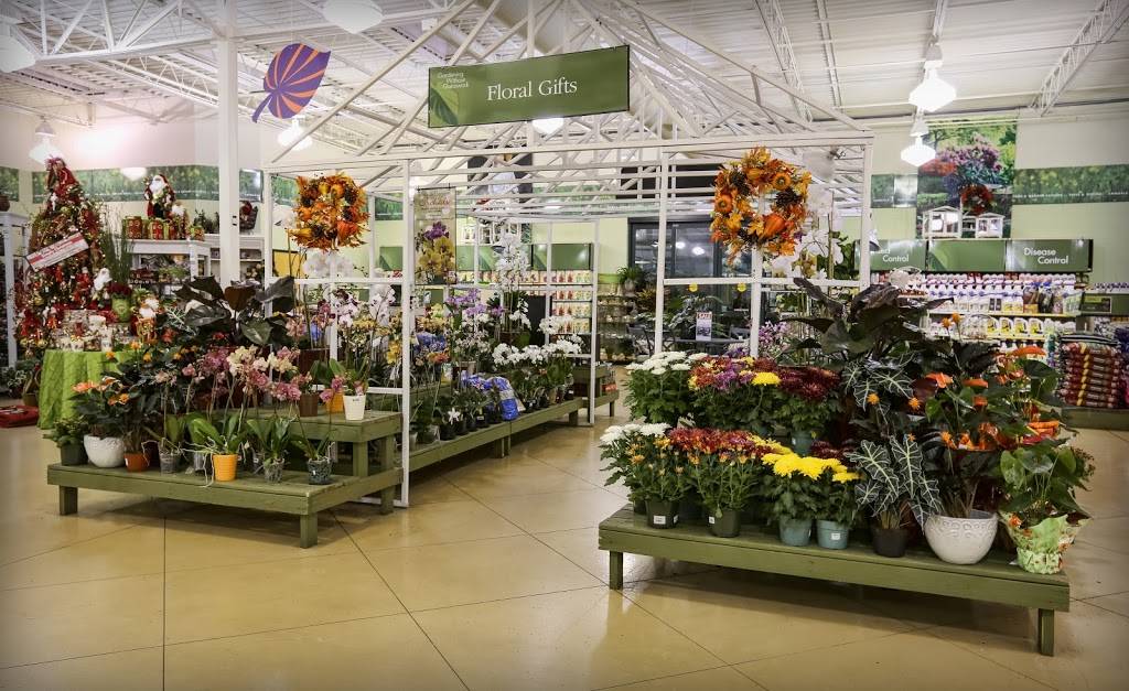 Pike Nurseries | 2101 Lavista Rd NE, Atlanta, GA 30329, USA | Phone: (404) 634-8604