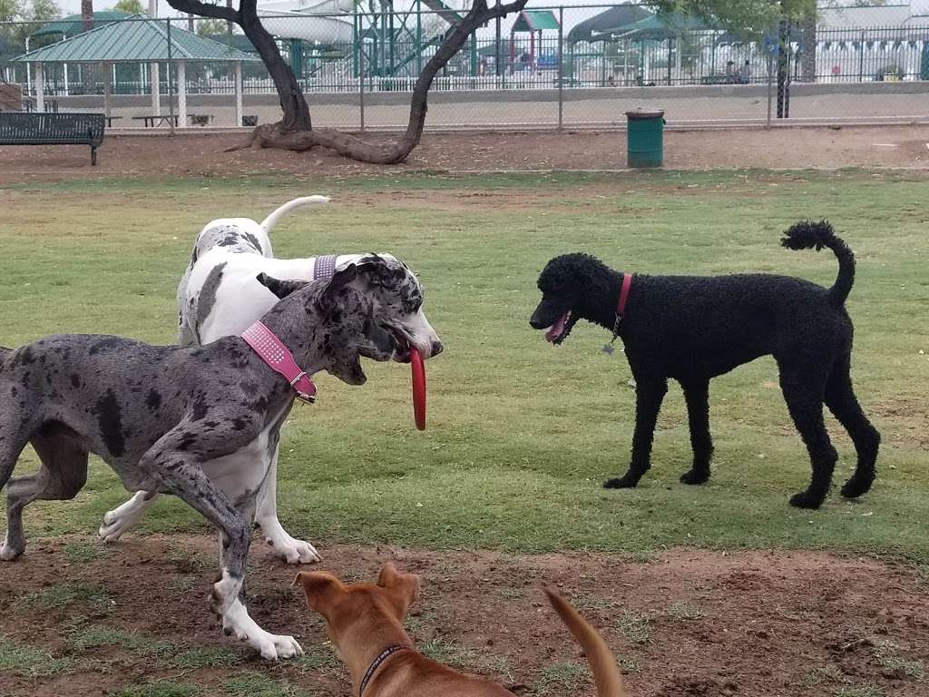 Nozomi Dog Park | Chandler, AZ 85226, USA