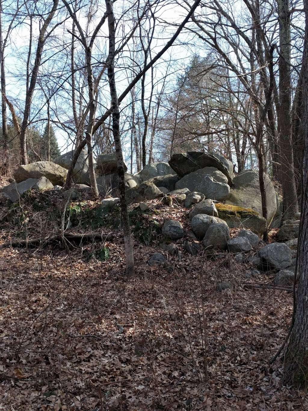 Cider Mill Pond Conservation Area | Westford, MA 01886, USA