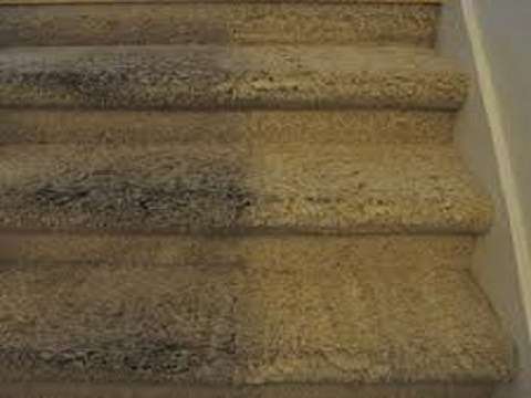 Pasadena TX Carpet Cleaners | 3205 Pasadena Blvd, Pasadena, TX 77503, USA | Phone: (832) 224-6683