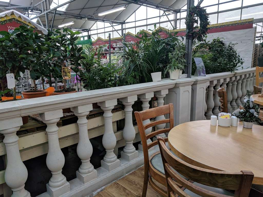 Ongar, a Wyevale Garden Centre | Langford Court, Ongar Rd, Kelvedon Hatch, Brentwood CM15 0LB, UK | Phone: 0844 288 5704