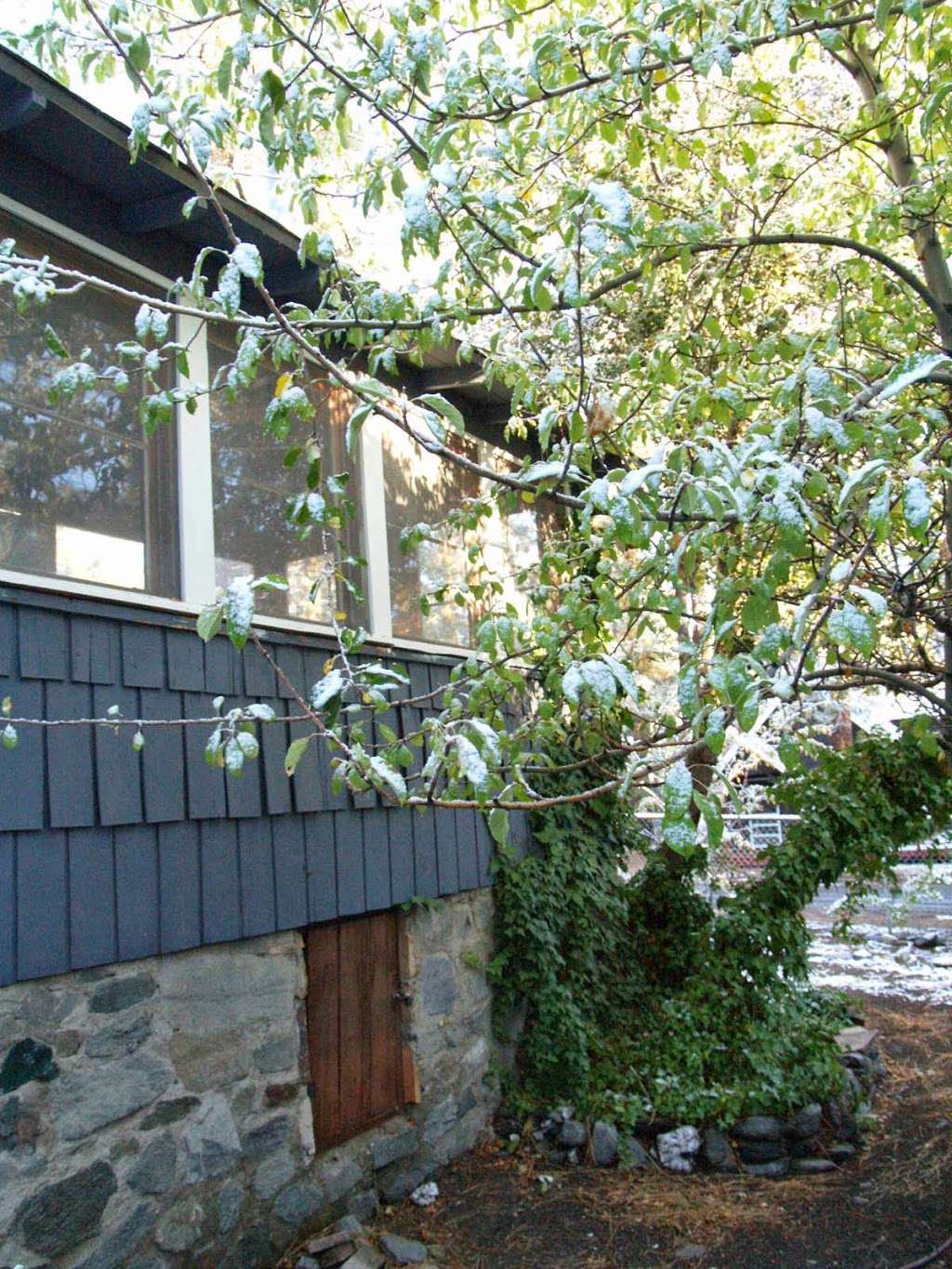 Reindeer Cottage | 1677 Thrush Rd, Wrightwood, CA 92397, USA | Phone: (626) 629-6032