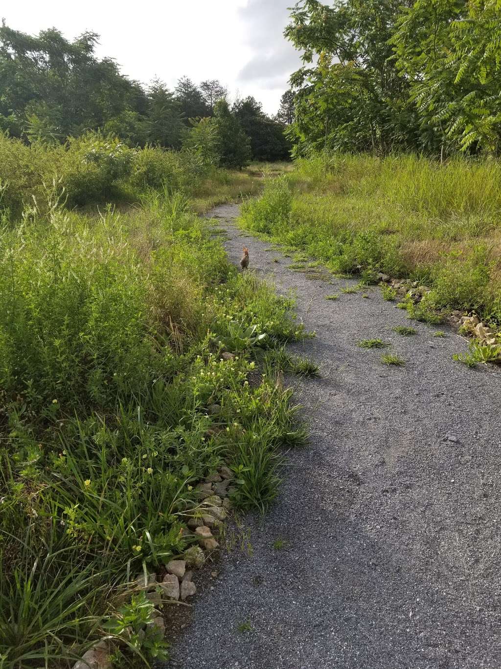 Kings Mountain Gateway Trail | 807 S Battleground Ave, Kings Mountain, NC 28086, USA