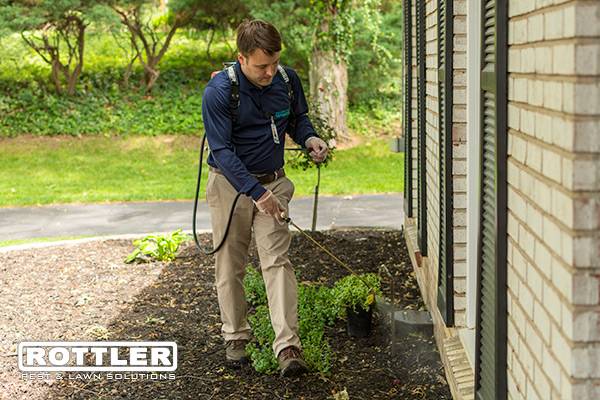 Rottler Pest Solutions | 8625 St Charles Rock Rd, St. Louis, MO 63114 | Phone: (314) 426-6100