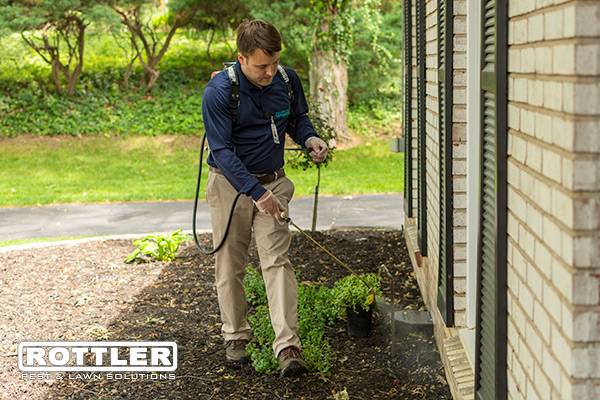 Rottler Pest Solutions | 8625 St Charles Rock Rd, St. Louis, MO 63114, USA | Phone: (314) 426-6100