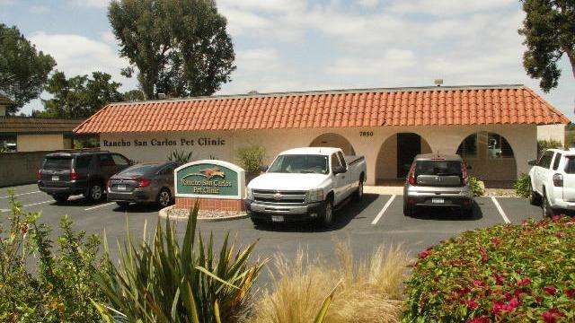 Rancho San Carlos Pet Clinic Inc. | 7850 Golfcrest Dr, San Diego, CA 92119, USA | Phone: (619) 462-6820