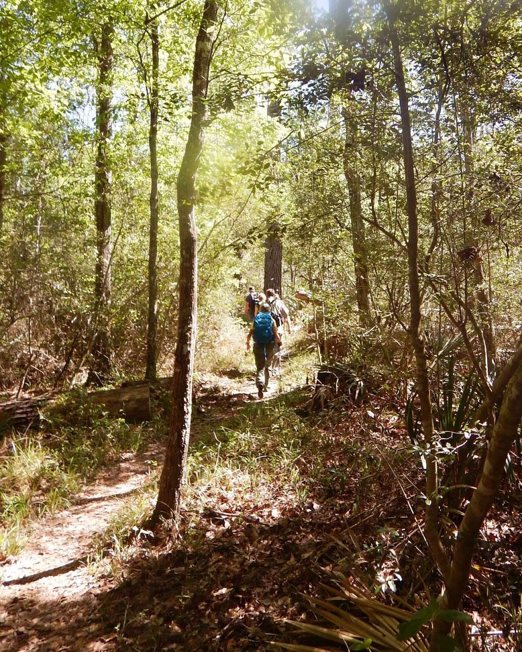 Lone Star Trail Trailhead #6 | Montgomery, TX 77356, USA