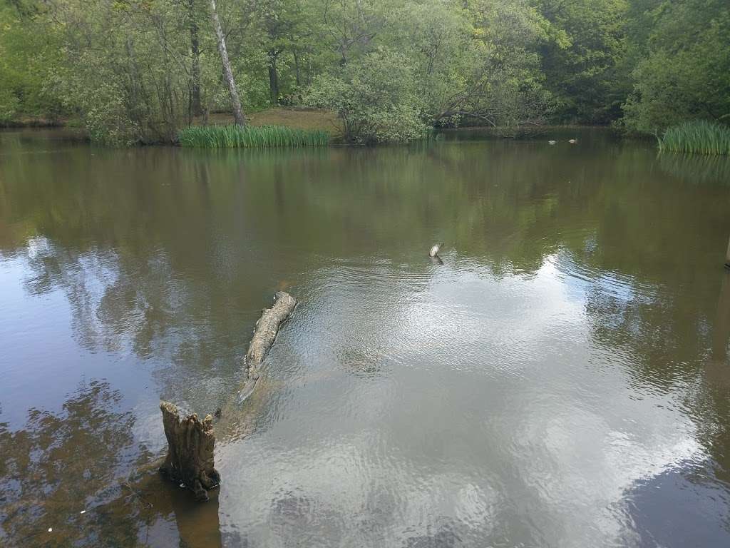 Loughton Brook Storage Pond | 5 Staples Rd, Loughton IG10 1HP, UK