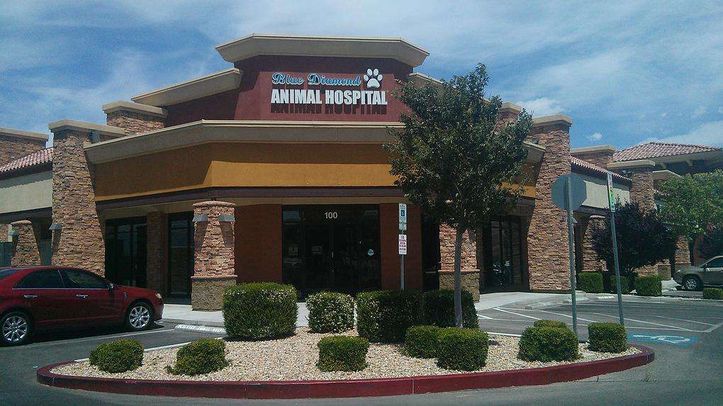 Blue Diamond Animal Hospital | 8090 Blue Diamond Rd #100, Las Vegas, NV 89178, USA | Phone: (702) 944-8440