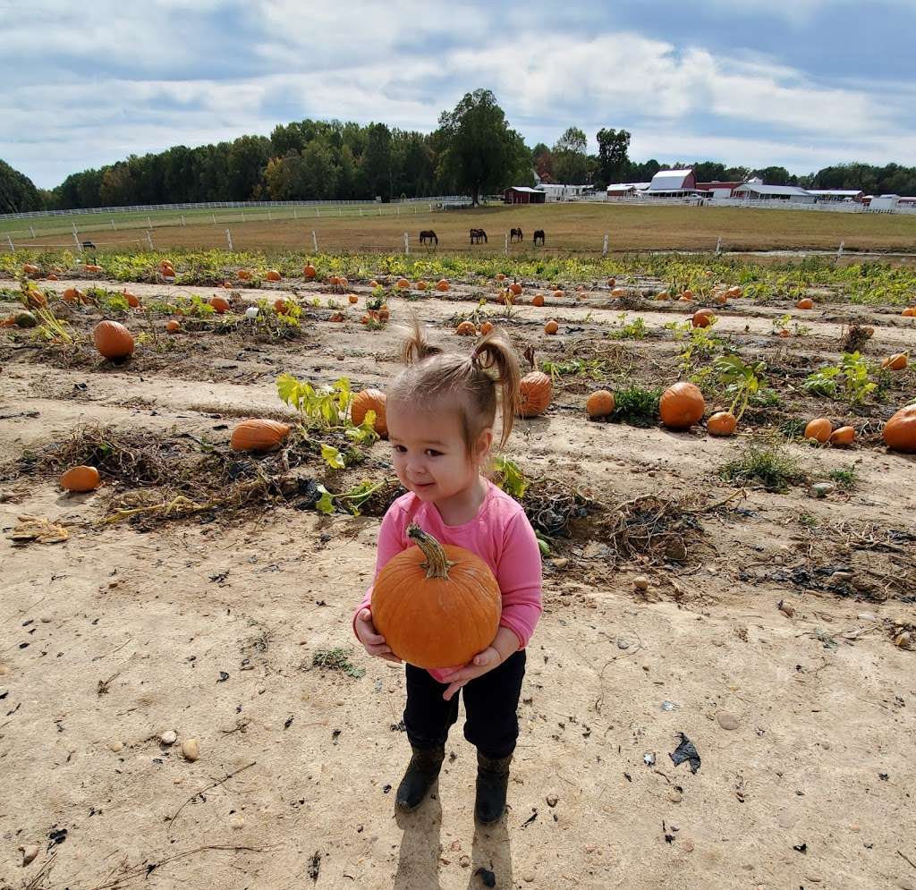 Hanover Vegetable Farm | 13580 Ashland Rd, Ashland, VA 23005, USA | Phone: (804) 752-2334