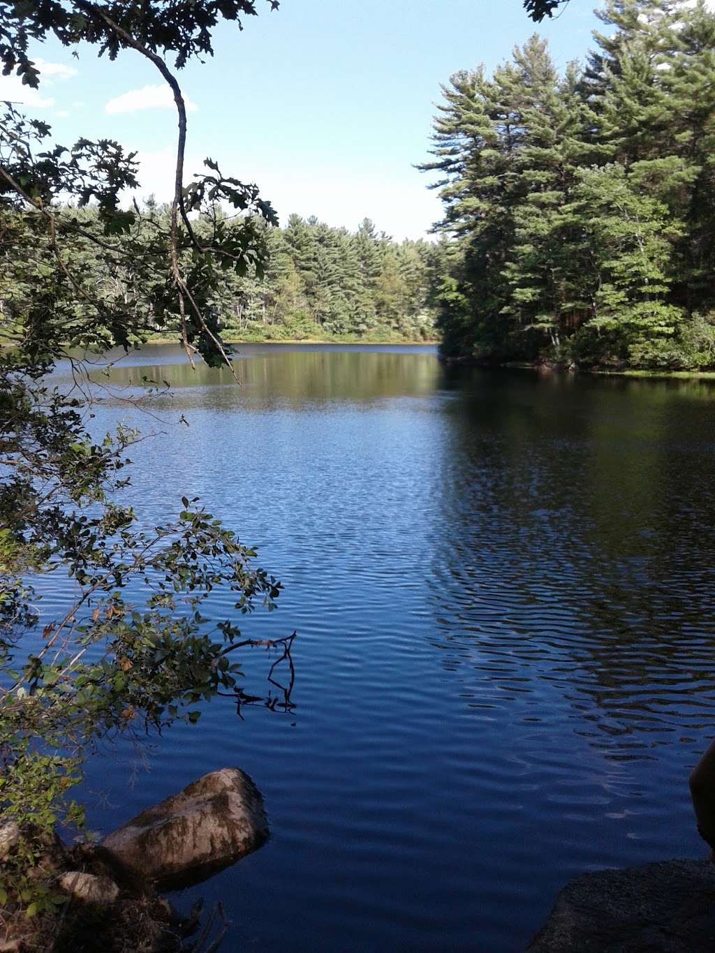 F. Gilbert Hills State Forest | 45 Mill St, Foxborough, MA 02035, USA | Phone: (508) 543-9084