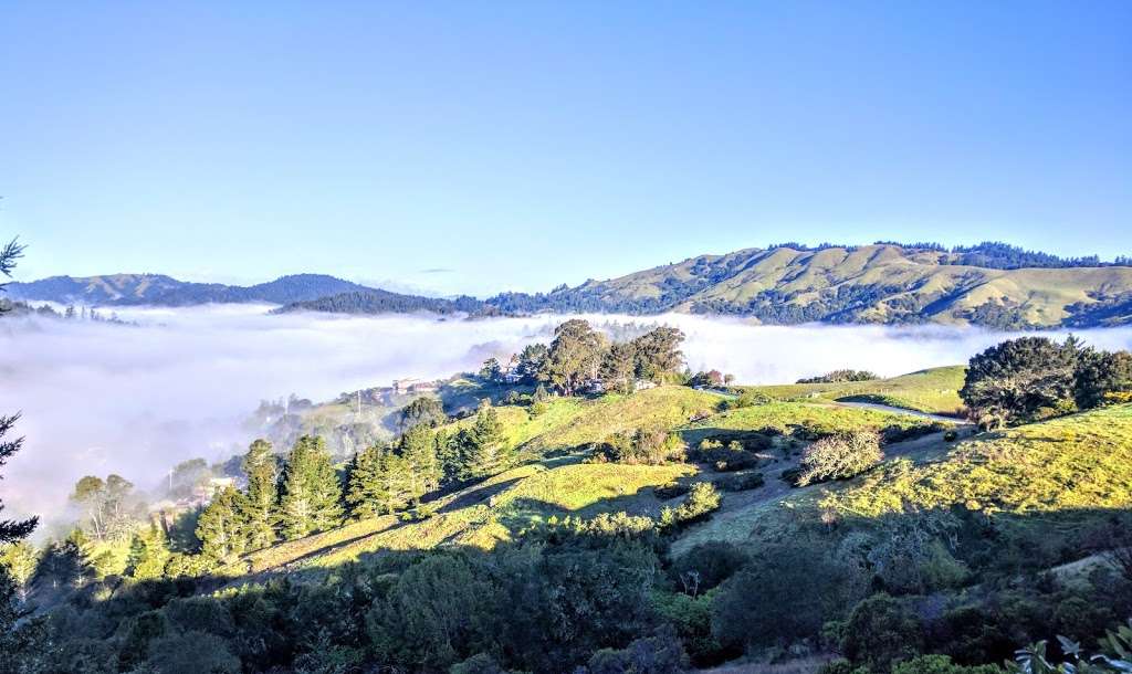 Whites Hill Open Space Preserve | Sir Francis Drake Blvd, Fairfax, CA 94930