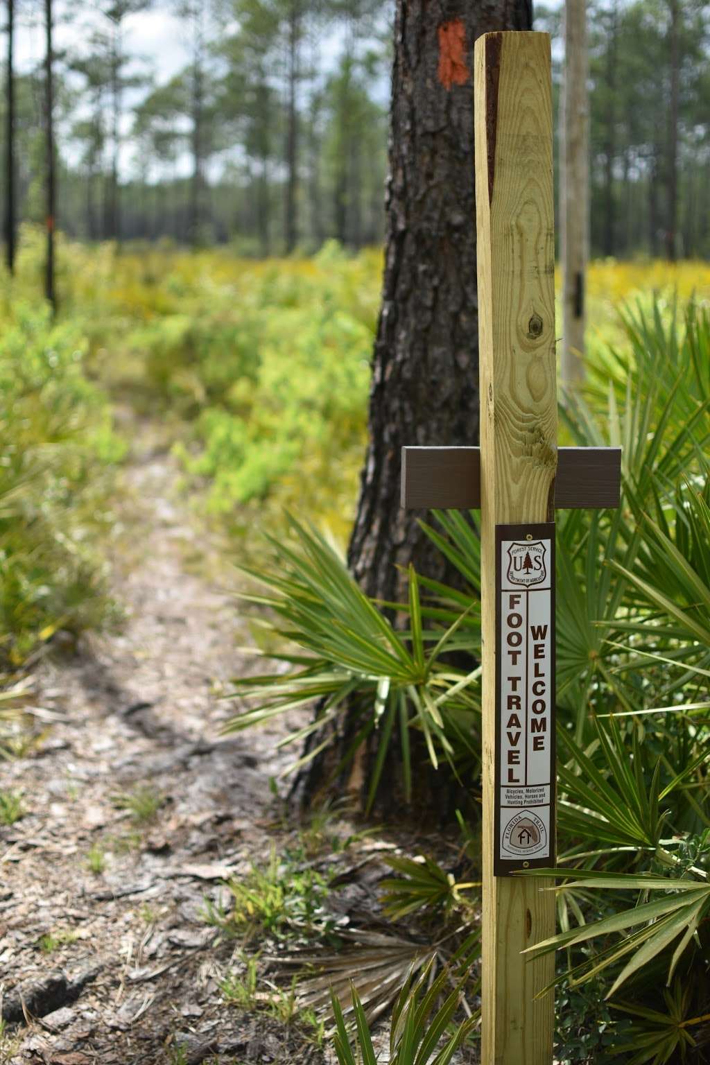 Ocala National Forest - Seminole Ranger Station | 40929 FL-19, Umatilla, FL 32784, USA | Phone: (352) 669-3153