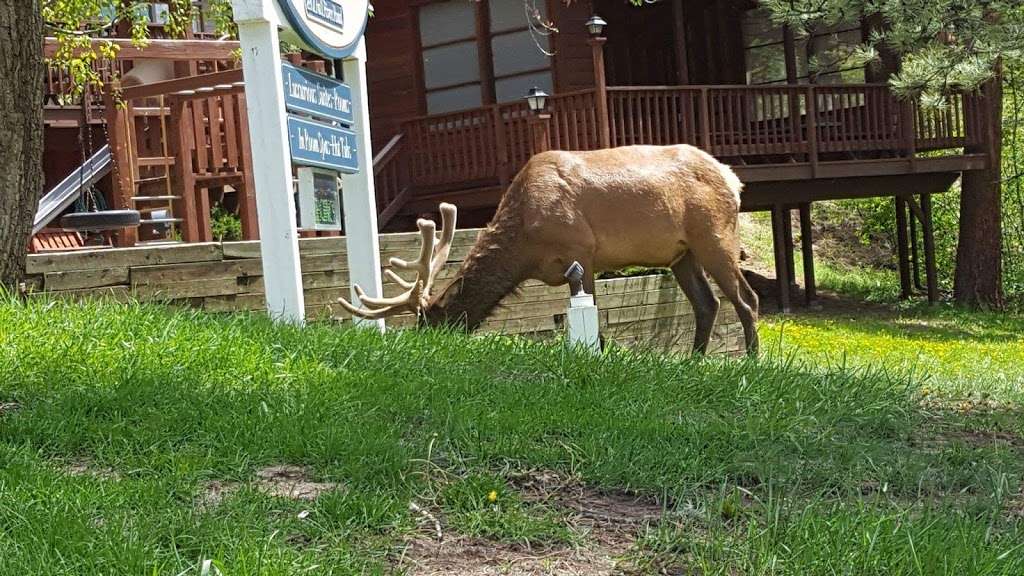 Wildwood Inn | 2801 Fall River Rd, Estes Park, CO 80517, USA | Phone: (970) 586-7804