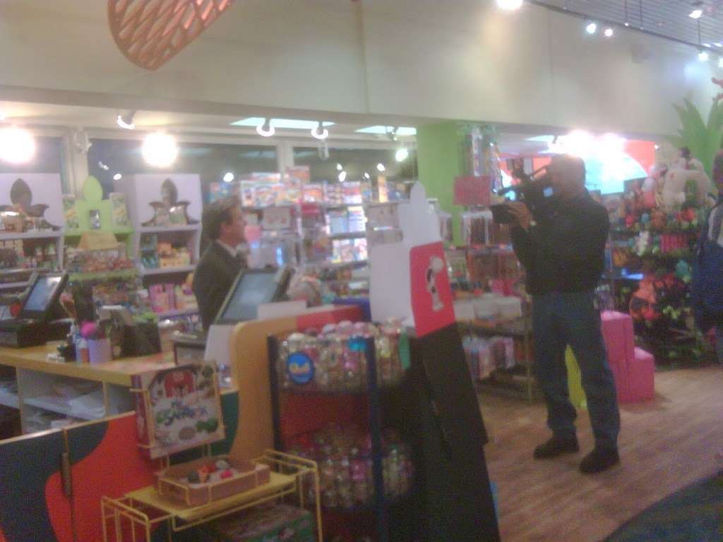 Funky Monkey Toys & Books | 360 Wheatley Plaza, Greenvale, NY 11548, USA | Phone: (516) 484-0966