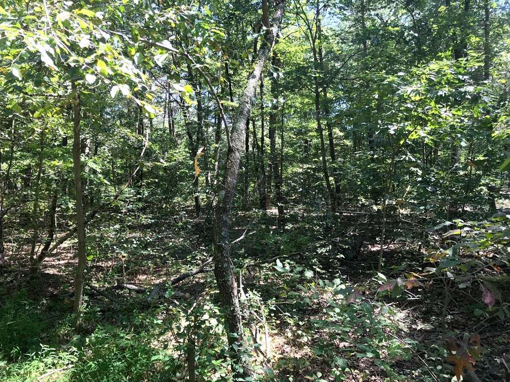 Beachwood Park 8320 Beachwood Park Rd Pasadena Md 21122 Usa