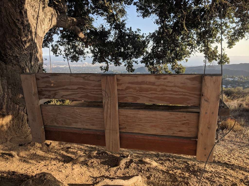 Canyonback Tree Swing | Lower Canyonback Trail, Los Angeles, CA 90049