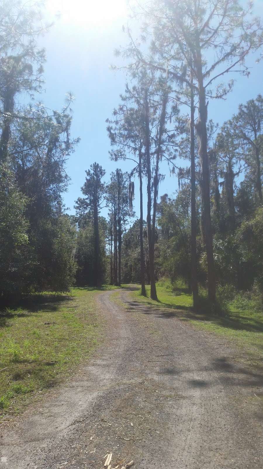 Bourlay Historic Nature Park | 851 N Canal St, Leesburg, FL 34748, USA | Phone: (352) 343-3777