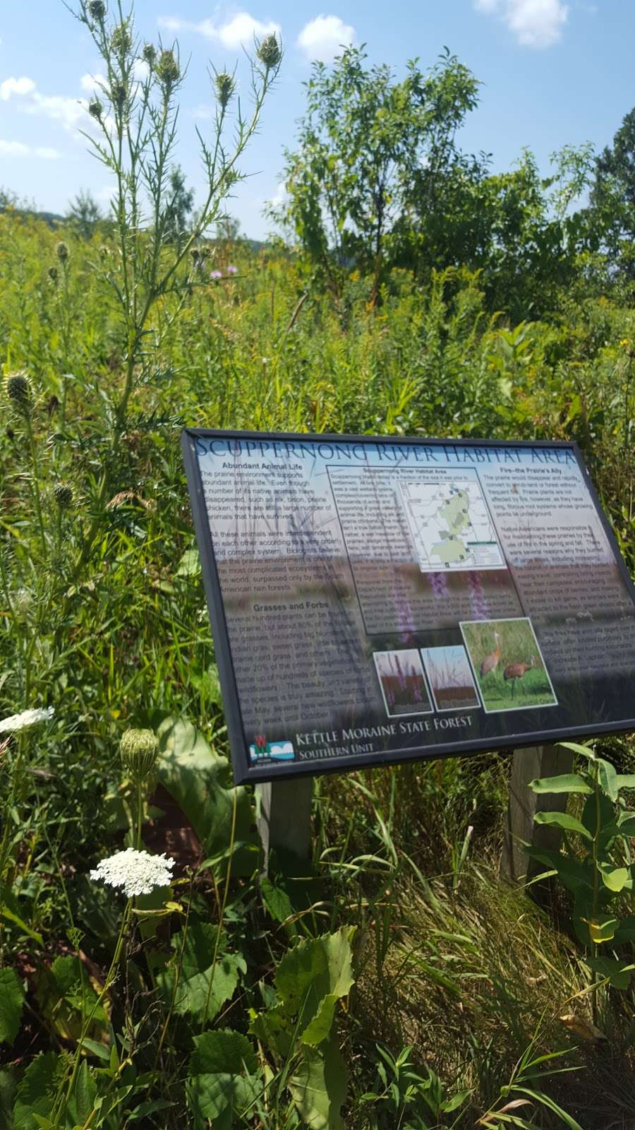 Scuppernong Prairie State Natural Area | County Rd N, Eagle, WI 53119 | Phone: (608) 266-0394