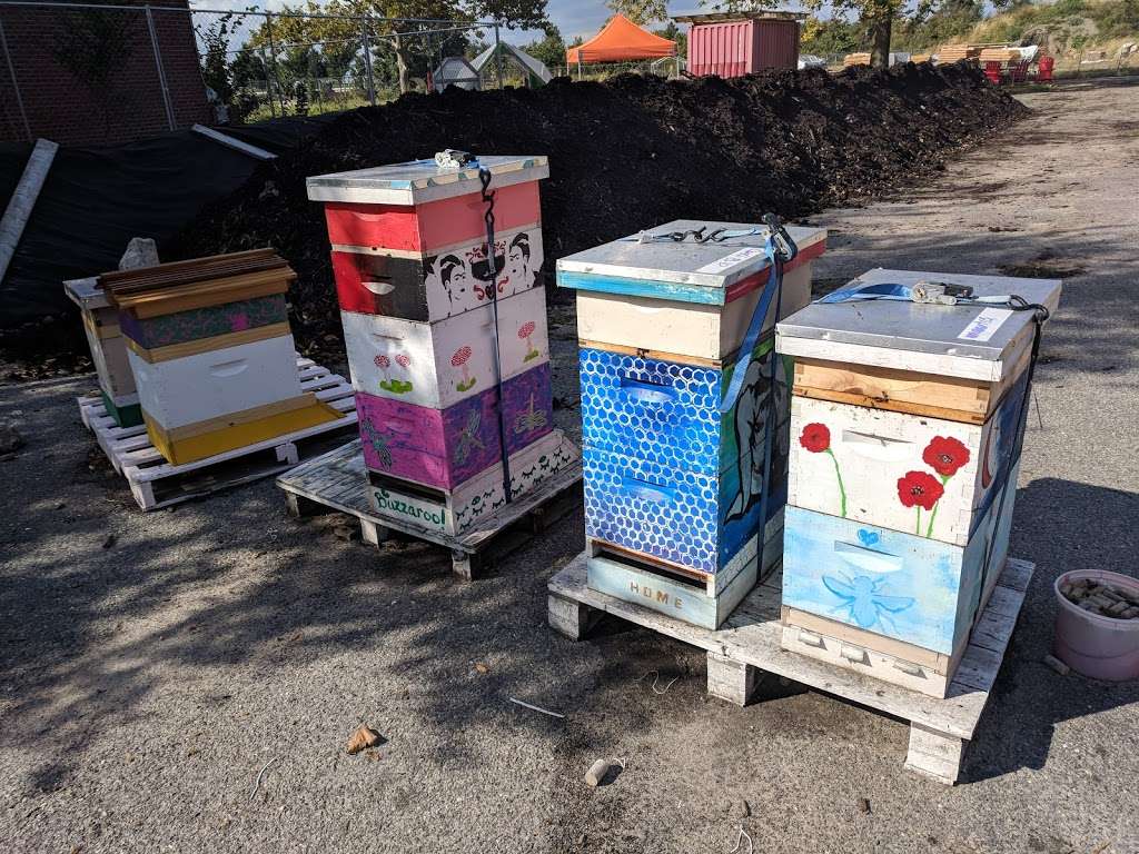 Governors Island Teaching Garden | 778 Enright Rd, New York, NY 10004, USA | Phone: (212) 788-7900