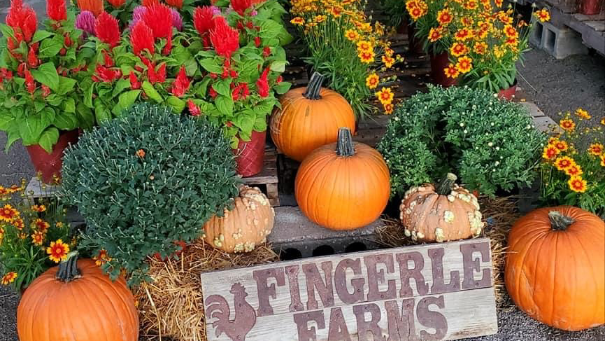 Fingerle Farms | 10229 Bryie Rd, Churubusco, IN 46723, USA | Phone: (260) 437-1951