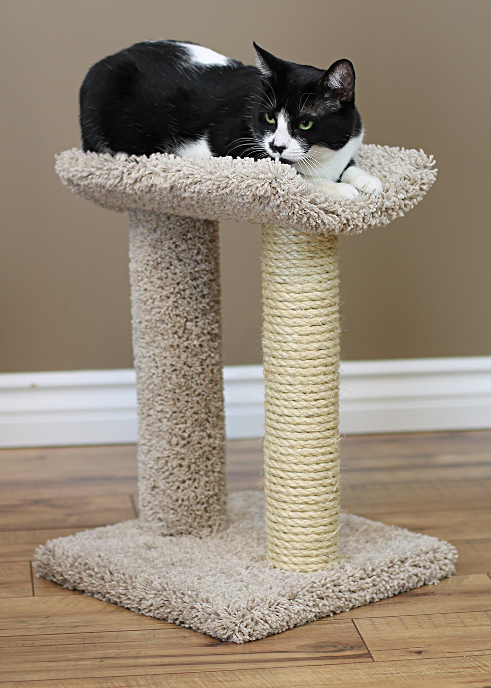 Cats Are Inn-Low Cost Factory Outlet Cat Trees | 2 W Topeka Dr, Phoenix, AZ 85027 | Phone: (623) 980-2077